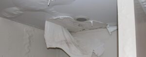 Water damage to plaster / ceiling