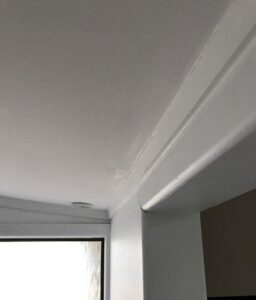 water damage to plaster